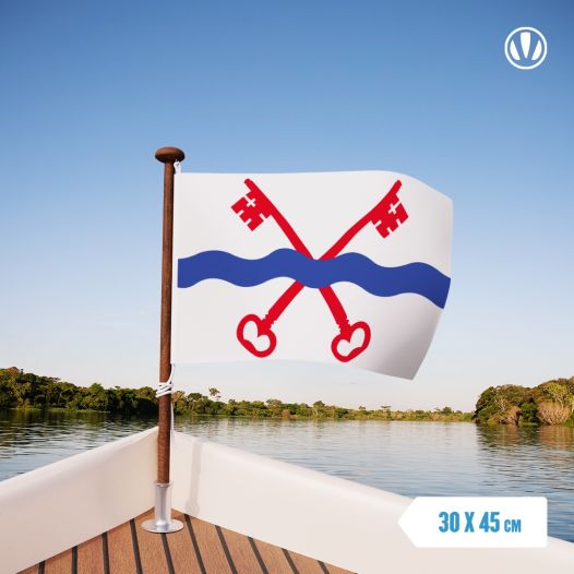 Vlag Leiderdorp 30x45cm