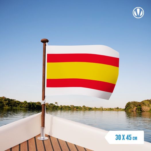Vlag Lemmer | vlaggen gemeente Lemsterland 30x45cm