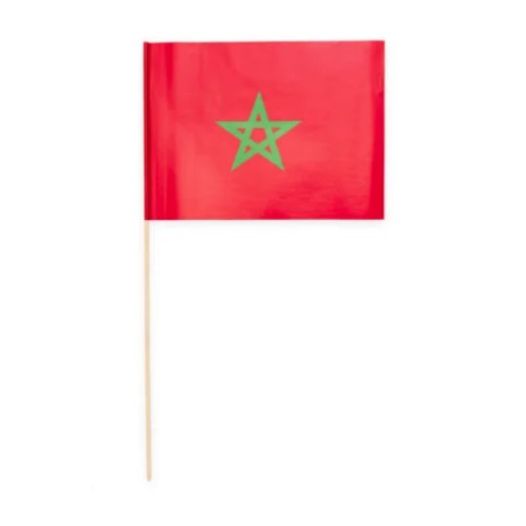 Zwaaivlag Marokko 20x30cm - 10 stuks