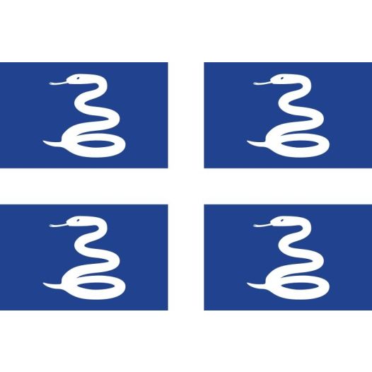 Boot vlag Martinique 30x45cm