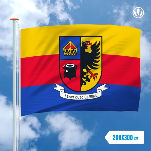 Vlag Noord-Friesland 200x300cm