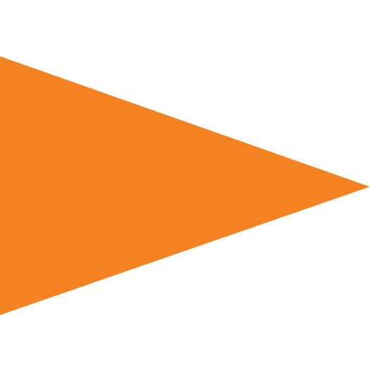 Oranje puntvlag 70x100cm