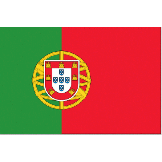 Vlag Portugal 70x100cm - Spunpoly