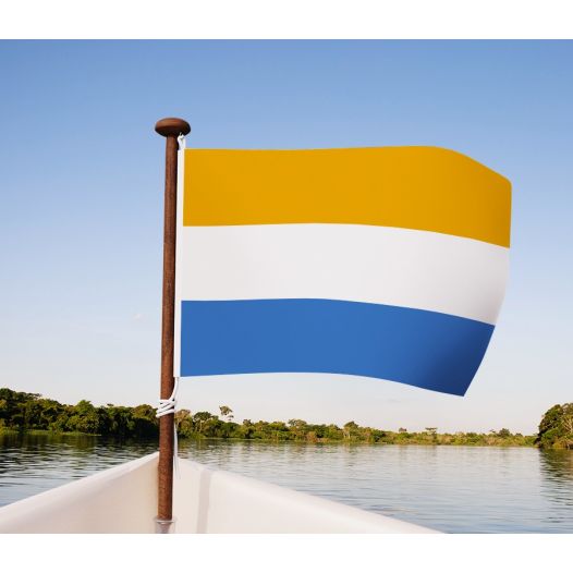 Prinsenvlag 20x30 cm