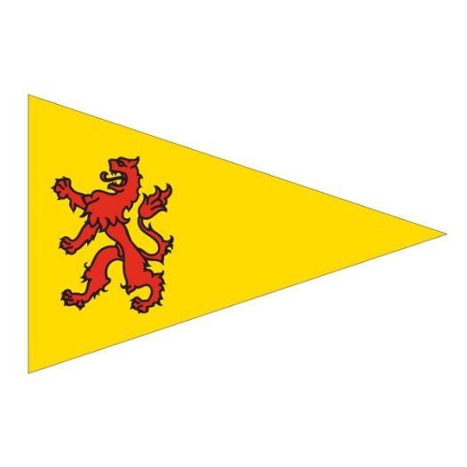 Puntvlag Zuid-Holland 30x45 vaantje wimpel