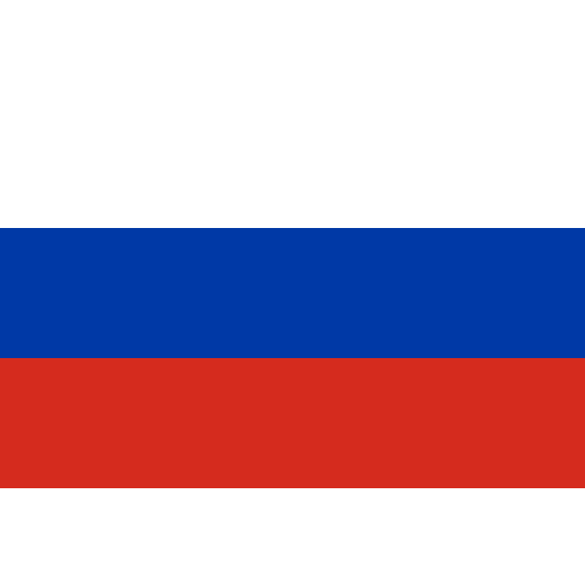 Vlag Rusland 70x100cm