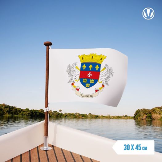 Vlaggetje Saint Barthélemy 30x45cm