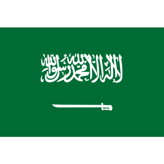 Vlag Saoedi Arabië 50x75cm