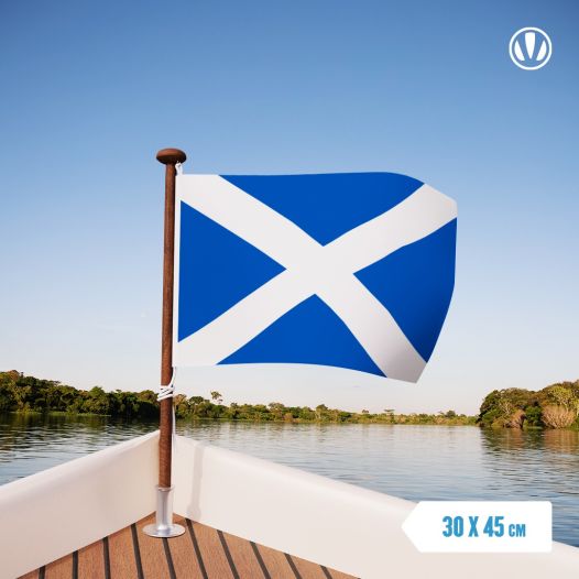 Schotse vlag vlaggen Schotland 30x45cm gastenvlag