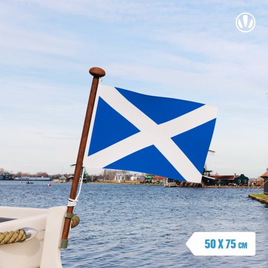 Vlag Schotland 50x75cm | Glanspoly