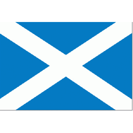Vlag Schotland 70x100cm - Spunpoly