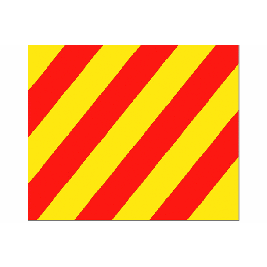 Seinvlag Y 50x70cm