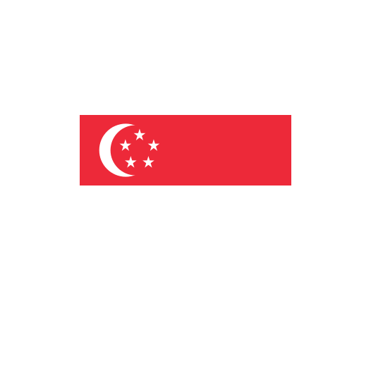 Vlag Singapore 90x150cm | Best Value
