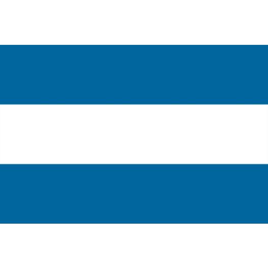 Vlag Tienen Tirlemont 100x150cm