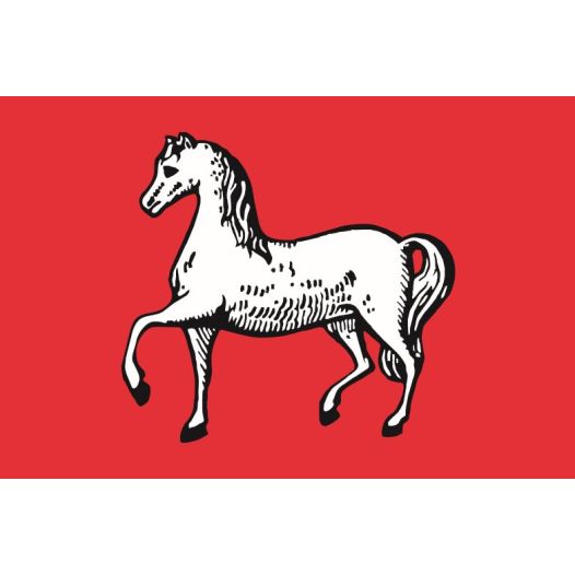 Vlag Assendelft 70x100cm
