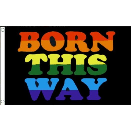 Vlag Born This Way 90x150 cm Best Value