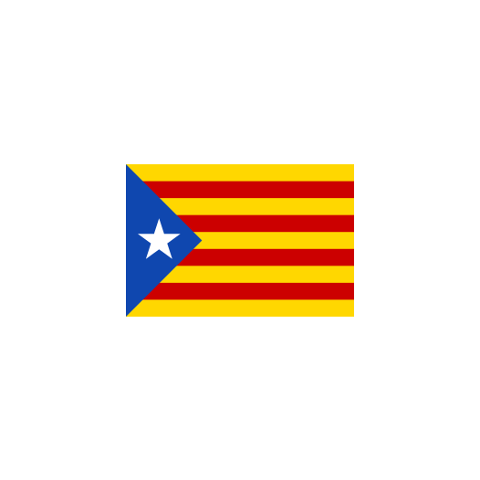 Vlaggetje Catalonië Onafhankelijkheid 20x30cm