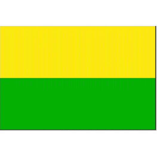 Vlag Den Haag 100x150cm