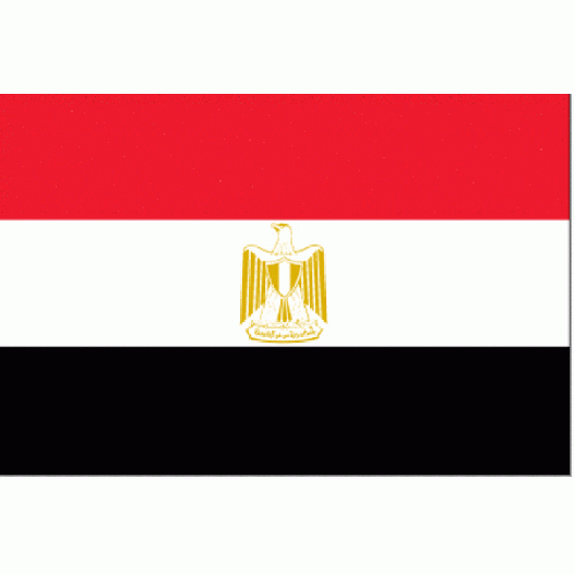 Zwaaivlag Egypte 30x45cm | stof
