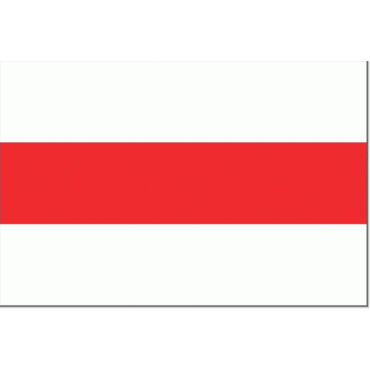 Tafelvlag Enschede 10x15cm - Voormalig