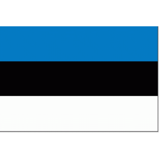 vlag Estland 40x60cm - Spunpoly