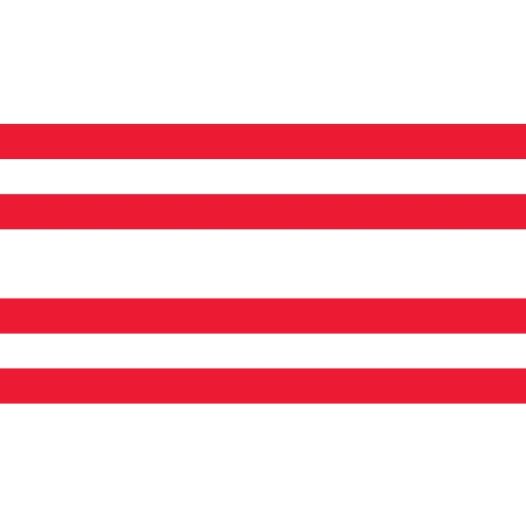 Vlag Gorinchem 150x225cm