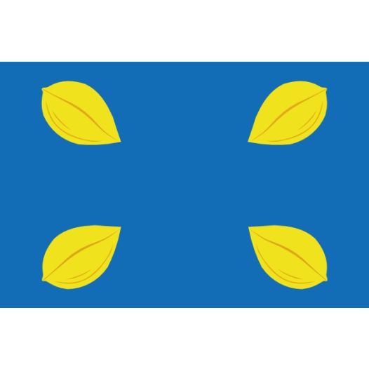 Vlag Hilversum 30x45cm