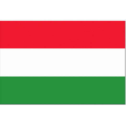 Vlag Hongarije 50x75cm