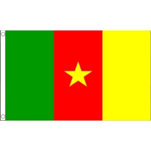 Vlag Kameroen 60x90cm | Best value