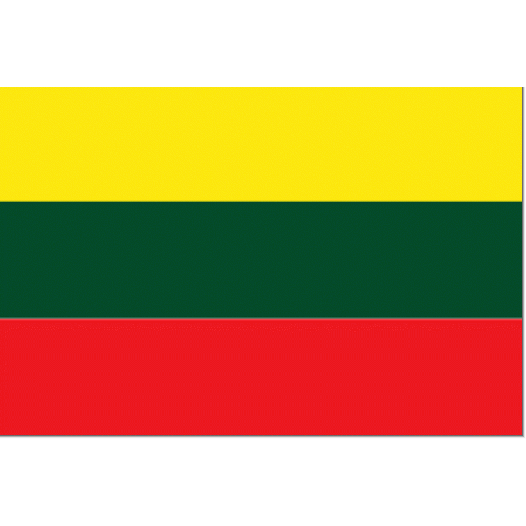 Vlag Litouwen 50x75cm