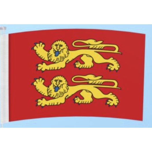Vlag Normandie 120x180cm
