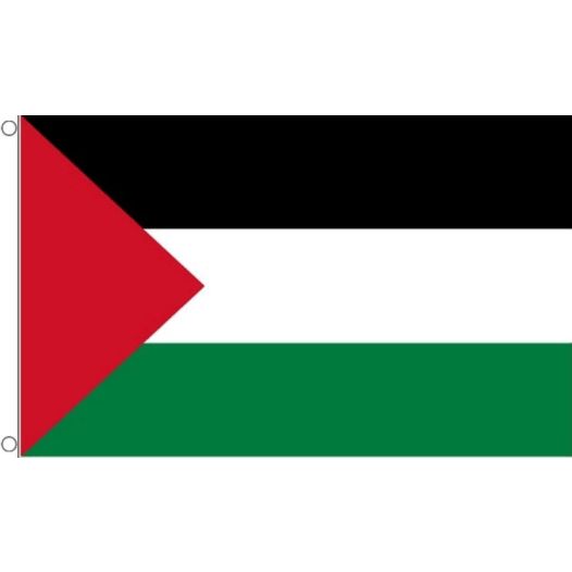 Vlag Palestina 90x150cm | Best Value