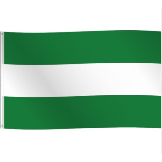 Vlag Rotterdam - 90x150cm