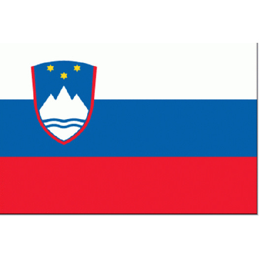 Vlag Slovenie 50x75cm