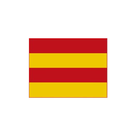 Vlag Stavoren 30x45cm