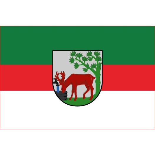 Vlag Stompwijk 30x45cm