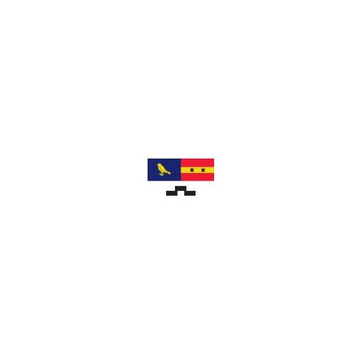 Vlag Vinkeveen Oude Wapen 50x75cm
