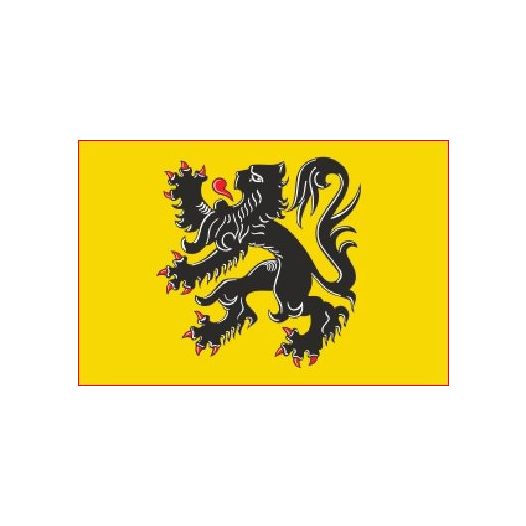 Vlag Vlaanderen Vlaamse Leeuw 150x240cm