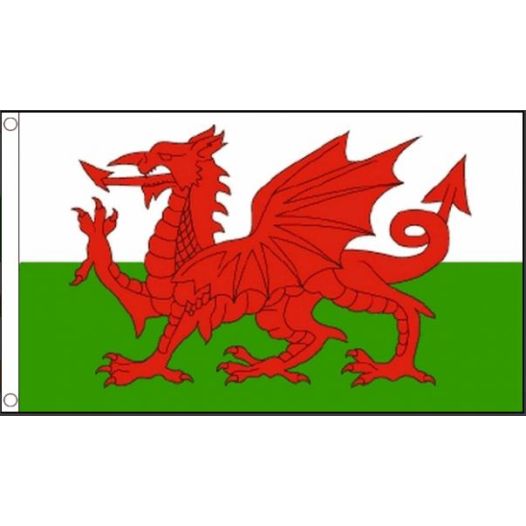 Vlag Wales 150x240cm | Best Value