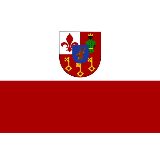 Vlag Waregem 100x150cm