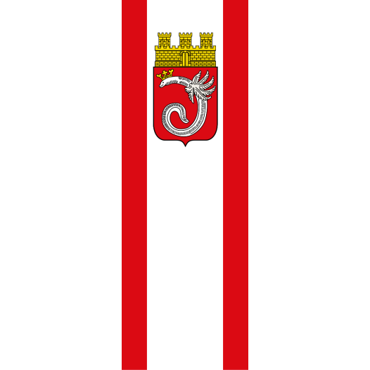 Vlag Ahlen 150x225cm
