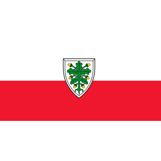 Vlag Aichach 100x150cm