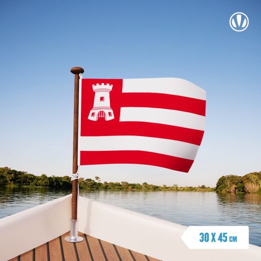 Vlag Alkmaar 30x45cm