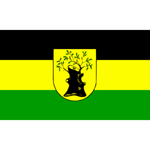 Vlag Apolda 150x225cm