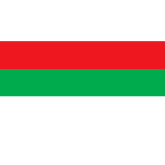 Vlag Augsburg 100x150cm