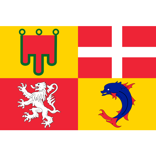 Vlag Auvergne 120x180cm