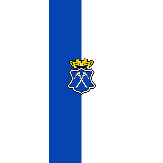 Vlag Bad Homburg 200x300cm