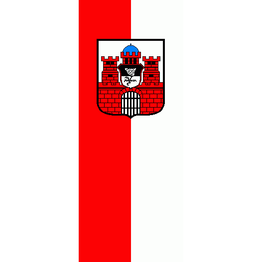 Vlag Bad Kissingen 100x150cm