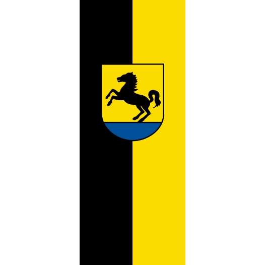 Vlag Bad Rappenau 100x150cm