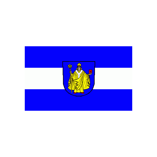 Vlag Bad Salzungen 150x225cm